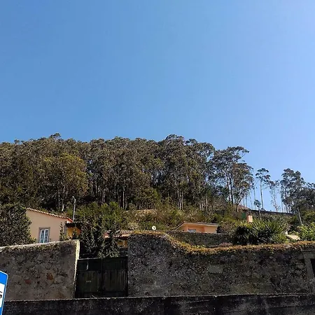 Dom wakacyjny Lovely Sunny-house Viana do Castelo